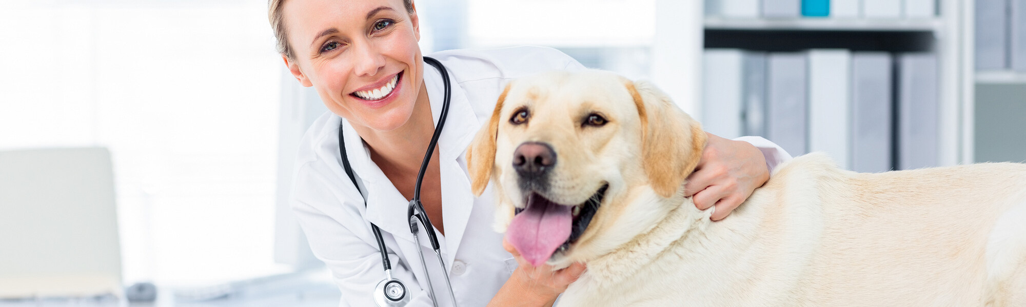 Tierärztin mit Golden-Retriever