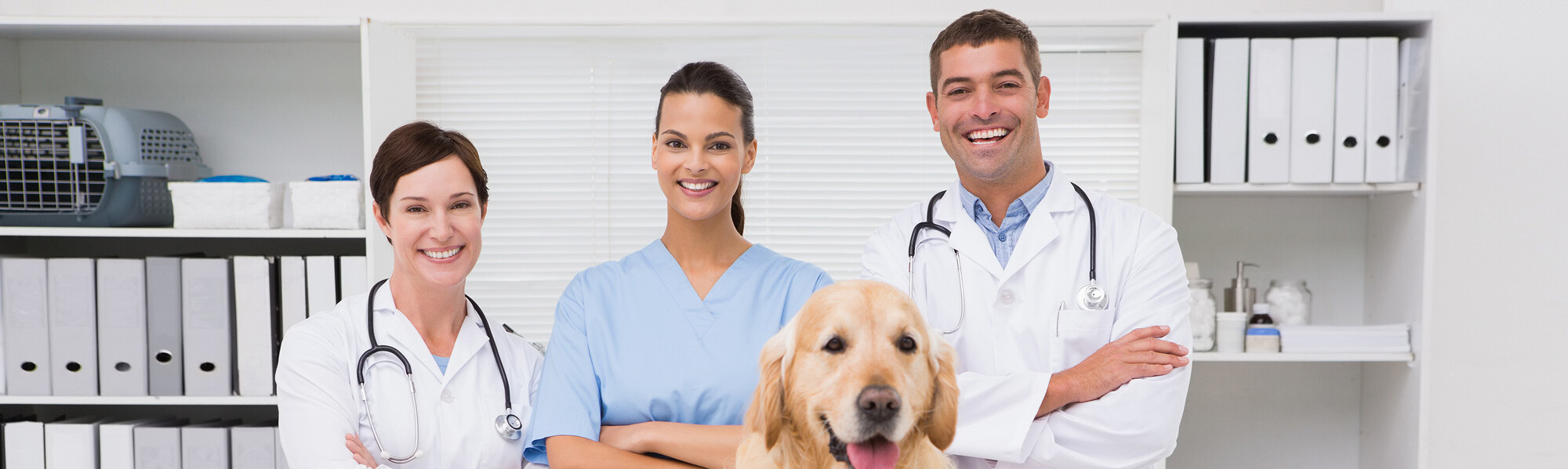 Lachende Tierärzte mit Hund